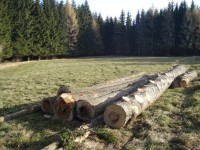 Národní přírodní rezervace Trčkov