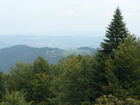 Hřebenovka Javorníků