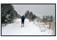 Bývalý vojenský újezd Ralsko - Kuřivody