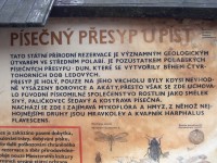 Kousek pouště v Polabí - písečný přesyp u Píst