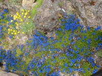 Liberec - nejstarší botanická zahrada v České republice