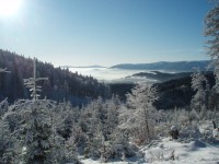 Rychlebské hory – Smrk