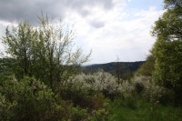 Hradiště Stengelberg, Kyselka - Radošov