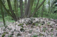 Hradiště Liščí Vrch nad obcí Velichov