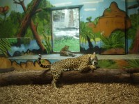 Výlet do Bratislavskej ZOO