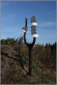 Slavný - Zaječí rokle - Božanovský špičák - Signál - Řeřišný - Slavný