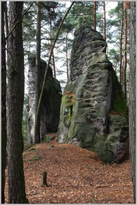 Přivýšina u Prachovských skal