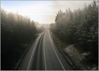 Hradecké lesy 3 - z Nového Hradce k Výskytu a zpět