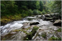 Kouty nad Desnou - Praděd - Karlova Studánka - Malá Morávka