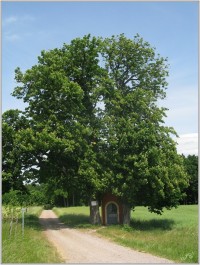 10-Kaplička u Hrádku
