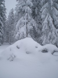 Vrchol Toku (865m)