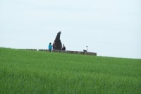 16.Menhir od silnice s dalšími návštěvníky