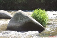 Stvořidla