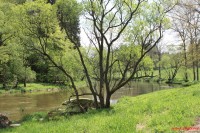 Stvořidla