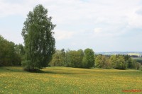 krajina v okolí Melechova