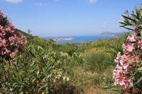 výhled na PORTOFERRAIO