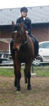 bronka