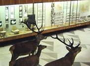 Podtatranské muzeum v Popradě