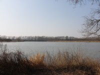 Bartošovické rybníky