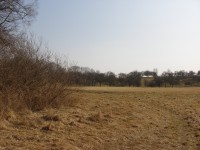 Bartošovice sad