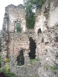 zřícenina hradu Vikštejn
