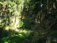 Aueršperk - zřícenina