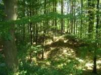 Pyšolec - zřícenina