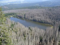 Plešné jezero - pohled od Stifterova památníku