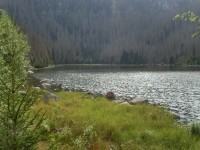 Plešné jezero