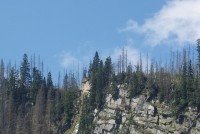 Plešné jezero - Jezerní stěna
