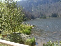 Plešné jezero