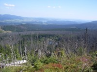 Plešné jezero - pohled od Stifterova památníku