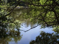 Plešné jezero