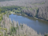 Plešné jezero - pohled od Stifterova památníku