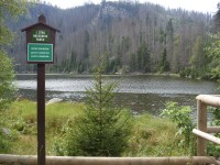 Plešné jezero