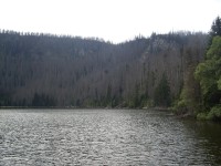 Plešné jezero