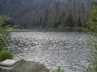 Plešné jezero