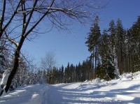 Cesta na Lysou