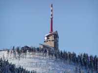 Lysá z jihu