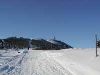 Lysá z jihu