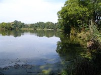 Průtočný rybník