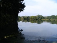 Průtočný rybník