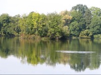 Průtočný rybník