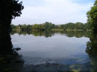 Průtočný rybník