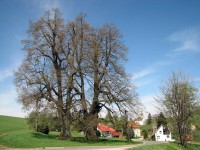 Soustromí ve Strážné