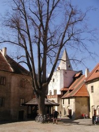 na hradě