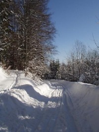 kolem Králického Sněžníku