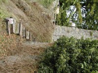 hrad