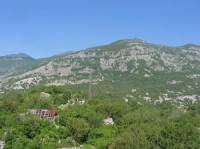 Orjen
