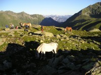 Sulzkögel 3016 m.n.m.
